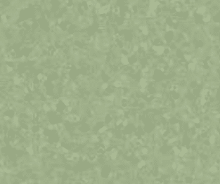 Centra - Medium Green