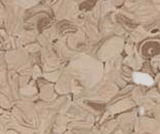 Norma - Beige