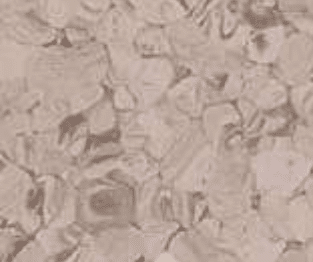 Norma - Grey Beige
