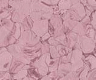 Norma - Light Purple