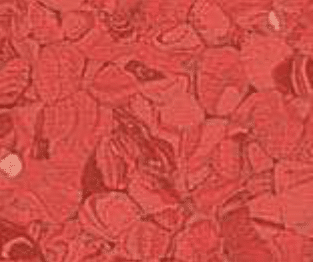 Norma - Red