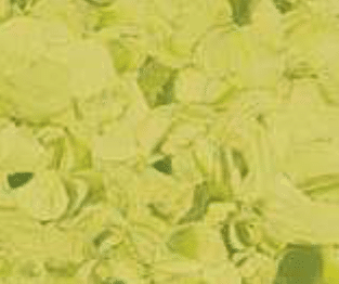 Norma - Yellow Green