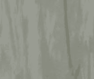 Specjal Plus - Grey