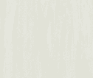 Specjal Plus - White Grey