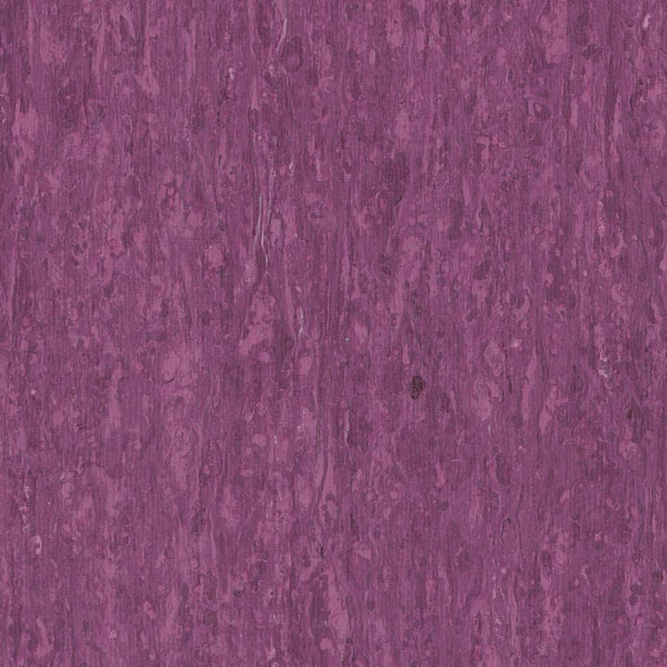 Optima PURPLE 0255